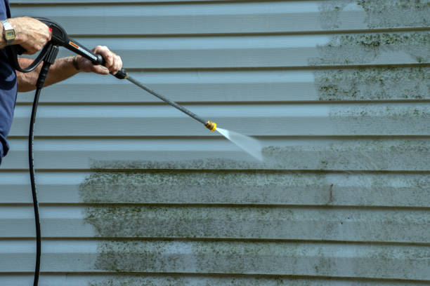Best Fence Cleaning  in Citronelle, AL